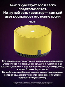 Yandex Lite nutikõlar koos Alice'iga (4 foto / 10)