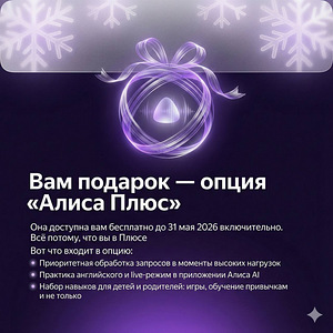 Telli Yandex Alisa tellimus (8 foto / 8)
