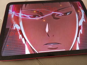 MÜÜA IPAD 17.1 (3 foto / 6)