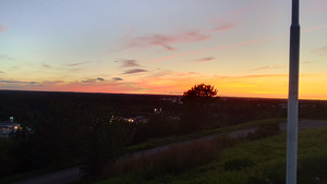 Töötada autojuhina (1 foto / 1)