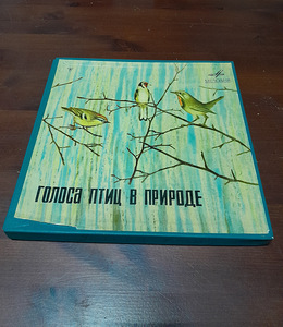 Виниловые пластинки (3 фото из 6)