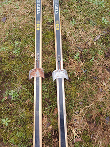 Suusad haruldased 200cm (1 foto / 4)