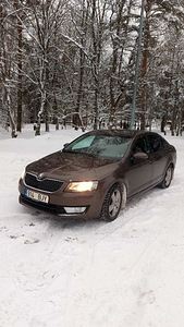 Skoda octavia (1 foto / 7)