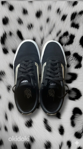 Vans Ward