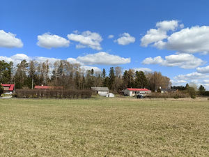 Minipriidu, Tolla, Rapla vald, Raplamaa (3 foto / 14)