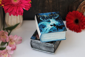 Raamatukujuline karp kaanega. Disainiga. Trükk. (1 foto / 10)