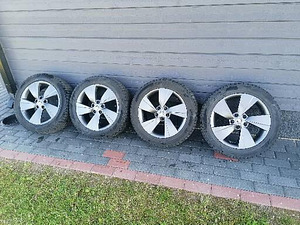 Литые диски Skoda R17 (1 фото из 4)