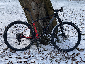 White Bike süsinikust MTB 9.6kg (1 foto / 5)
