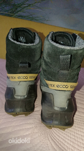 Ботинки Ecco 37 (фото #3)