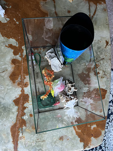 Akvaarium koos asjadega (2 foto / 2)