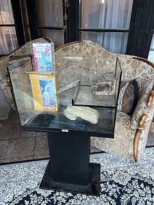 Akvaarium koos kapi ja muuga (3 foto / 3)