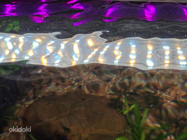 2 akvaariumi lampi (foto #1)