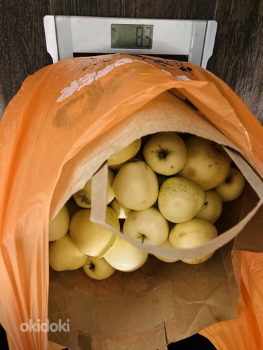 Õunad 8.3 kg (foto #2)