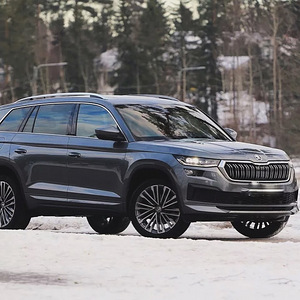 Skoda, Audi, Volkswagen, Seat lisade aktiveerimine (3 foto / 3)