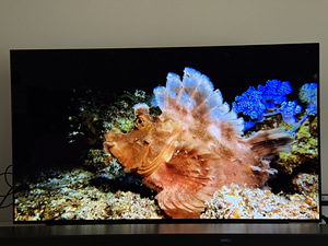 Телевизор LG OLED55C1 (3 фото из 5)