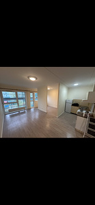 Remont, lammutamine, värvimine, väikesed remonditööd (2 foto / 8)
