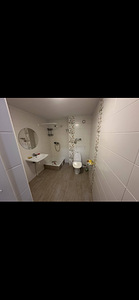 Remont, lammutamine, värvimine, väikesed remonditööd (8 foto / 8)