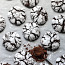 Šokolaadi küpsised (foto #2)
