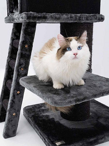 PETREBELS Kraapimispuu Ragdoll 180, antratsiit või valge (2 foto / 10)