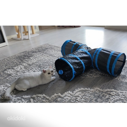 Игрушка для кошек, туннель, синий или розовый (фото #3)
