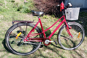 DBS Linna-cruiser mixte (1 foto / 10)