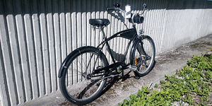 Cruiser 1980 + Shimano Nexus 7 (2 foto / 4)