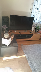 TV alus ja diivanilaud (2 foto / 3)