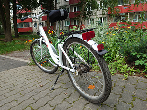 Jalgrattas 8-12.a tüdrukule (3 foto / 4)