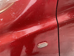 Nissan micra (11 foto / 11)