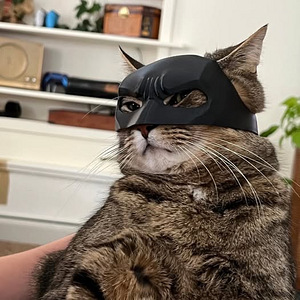 Universaalne kassile mõeldud Batman mask (3 foto / 5)
