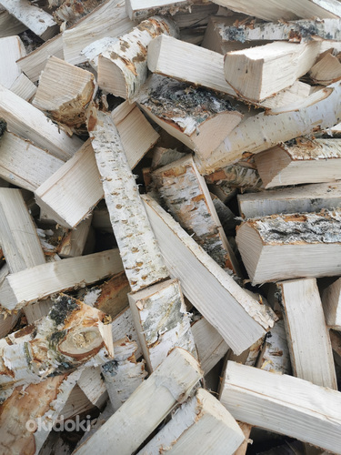 Береза, дрова в Вильянди и Тартумаа (фото #1)