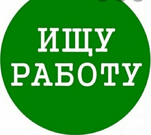 В поисках работы (1 фото из 1)