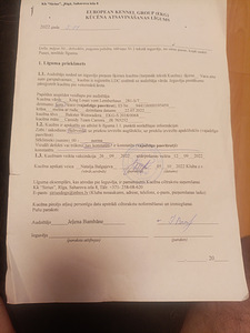 Вязка (2 фото из 3)