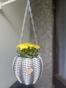 Sfinksi (1 valokuva sivusta 1)