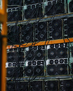 Elphapex DG1 11GH/S ASIC for mining (3 foto / 3)