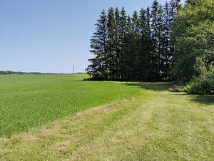 Müüa maja Järvamaa Kalitsa küla (6 foto / 7)
