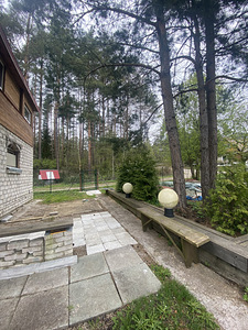 Müün suvila Višnes (2 foto / 8)