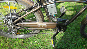 Trek Calypso de Lux raamil elektriratas 1000W (6 foto / 7)