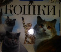Детская энциклопедия "Кошки"