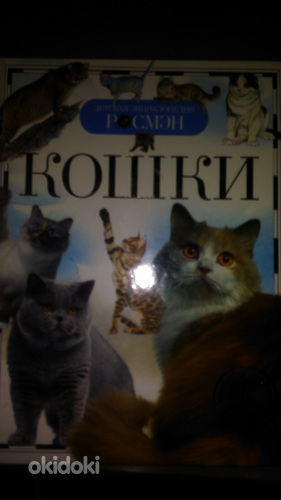 Детская энциклопедия "Кошки" (фото #1)
