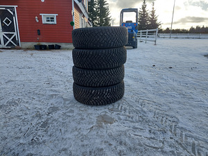 Winterpeak F-ICE (R17) naastrehvid (4 foto / 6)