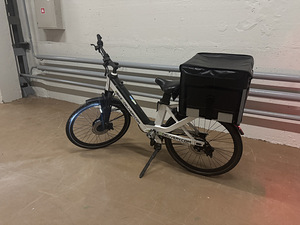 Elektrijalgrataste rent kulleritele EB4D (3 foto / 4)