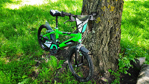 Велосипед для мальчика Dino Bikes 16" (1 фото из 2)