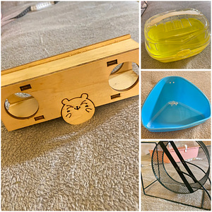 Puur ja asjad hamstri jaoks (6 foto / 6)