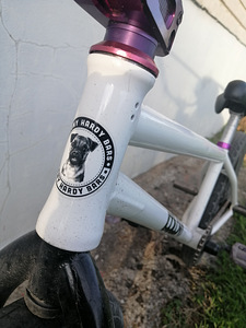PERFEKTNE BMX JALGRATAS CASSETTE (2 foto / 7)