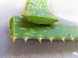 Madrats Medic Max Aloe Vera 80,90,120,140,160,180 x 200cm (9 foto / 10)