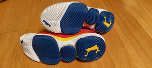 Korvpallitossud Lebron 44,5 (3 foto / 4)