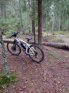 E - jalgratas Classic max kiirus 40km/t (3 foto / 3)