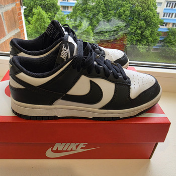 Nike dunk tossud 37,5