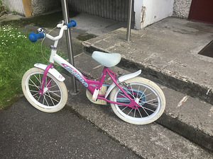 Laste jalgratas “Dino Bikes” 14’’ (2 foto / 10)